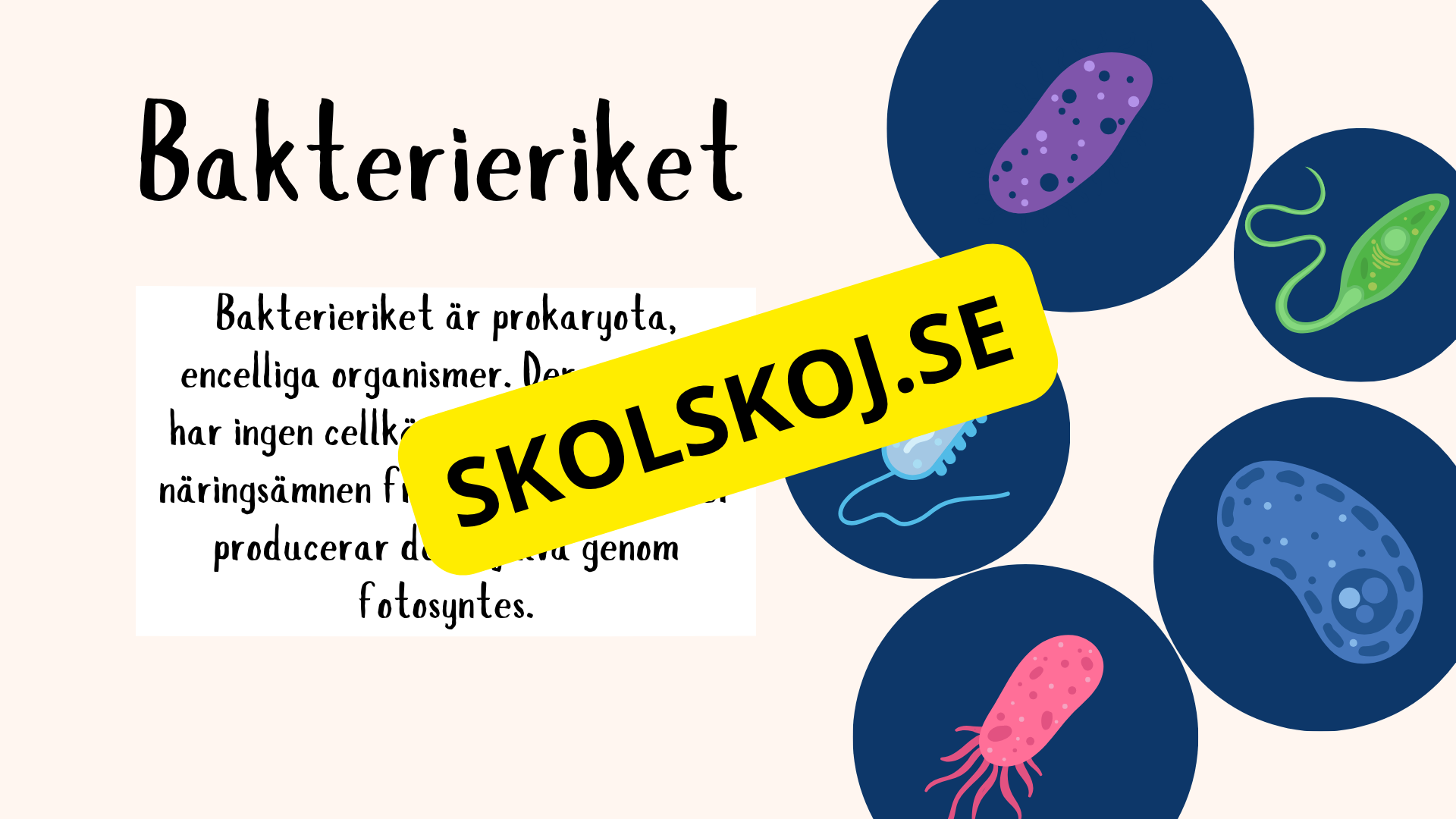 De fem rikena och deras egenskaper - Lektionsstöd och presentation