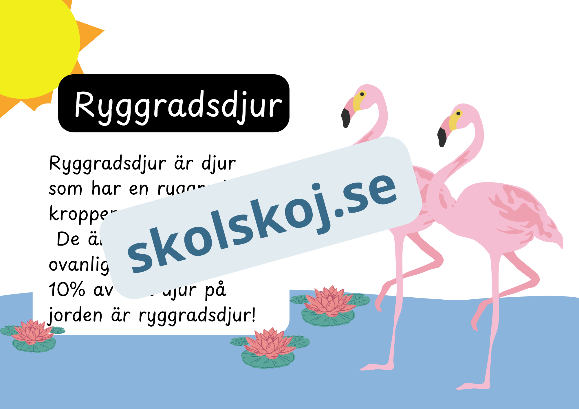 Den levande världen - Ryggradsdjur och ryggradslösa