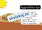 Den levande världen - Ryggradsdjur och ryggradslösa