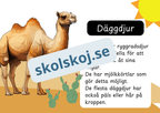 Den levande världen - Ryggradsdjur och ryggradslösa