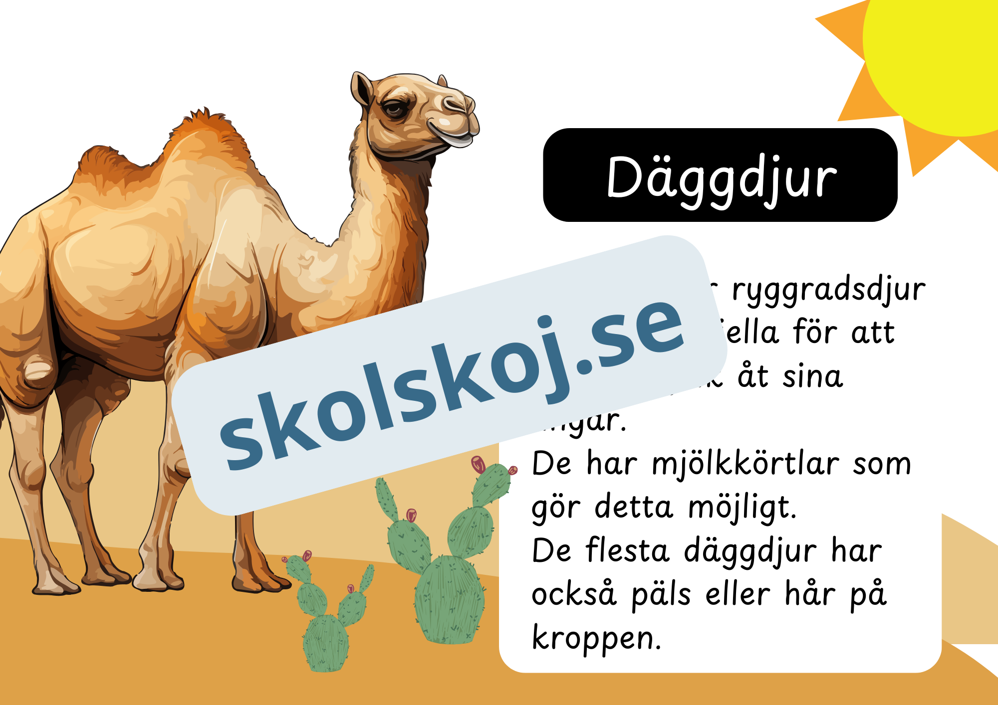 Den levande världen - Ryggradsdjur och ryggradslösa