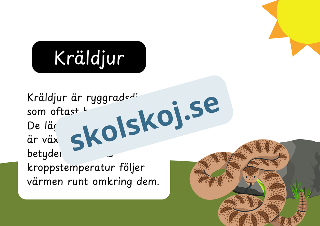 Den levande världen - Ryggradsdjur och ryggradslösa
