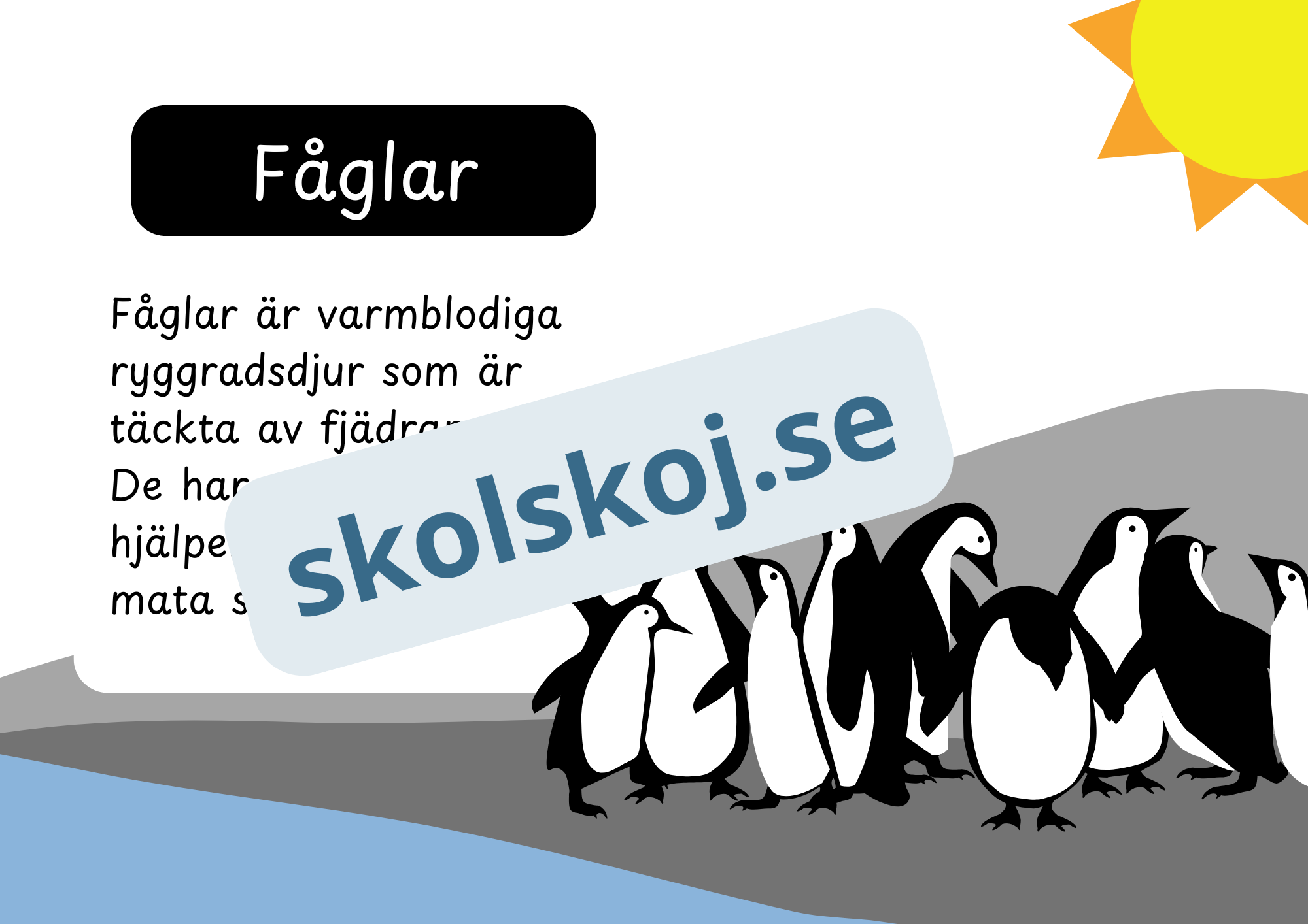 Den levande världen - Ryggradsdjur och ryggradslösa