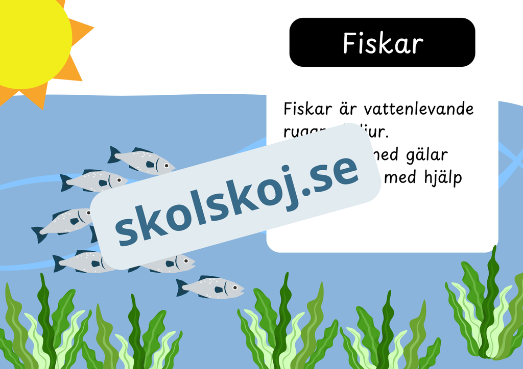 Den levande världen - Ryggradsdjur och ryggradslösa