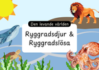 Den levande världen - Ryggradsdjur och ryggradslösa