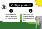 Den levande världen - Ryggradsdjur och ryggradslösa
