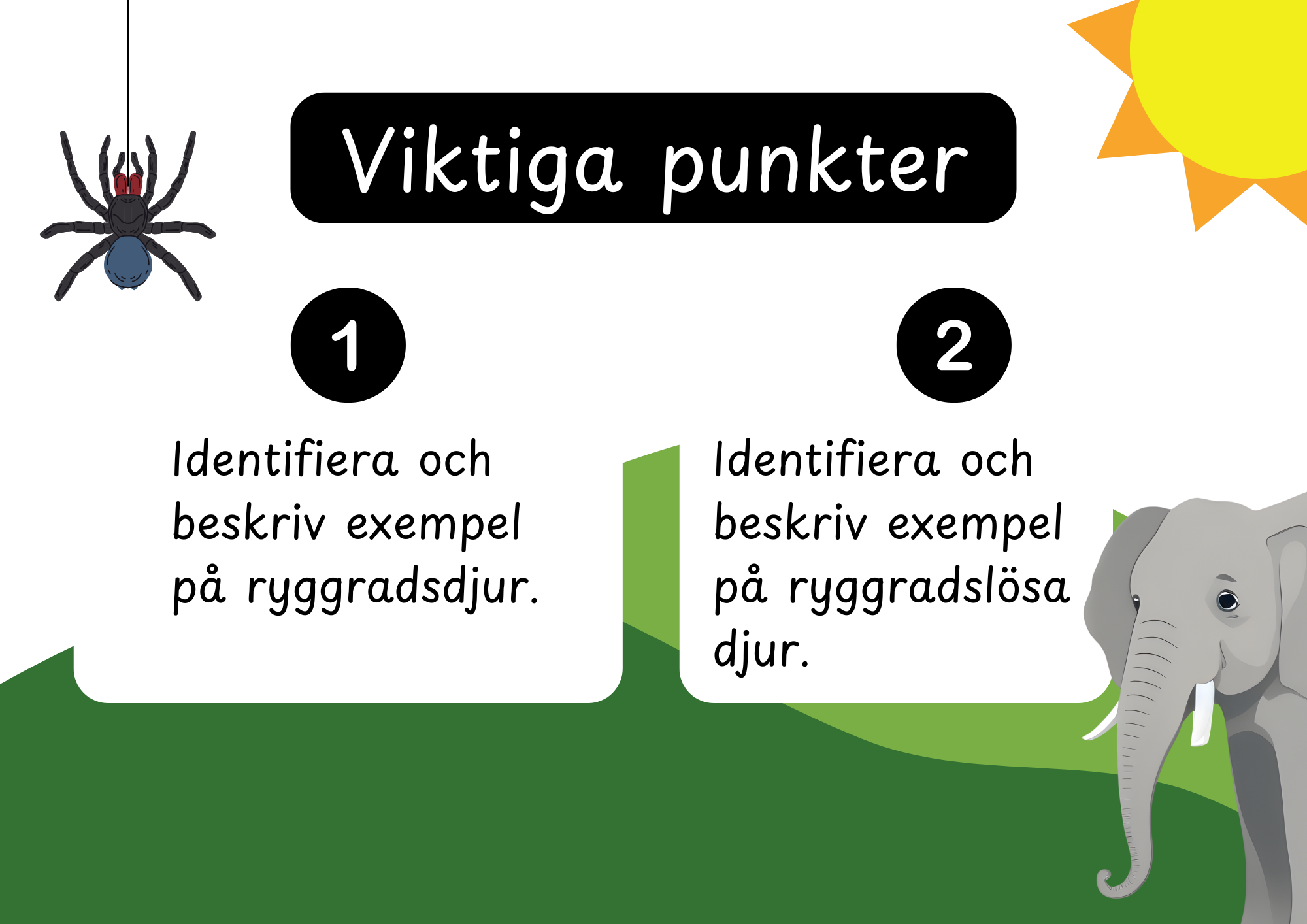 Den levande världen - Ryggradsdjur och ryggradslösa