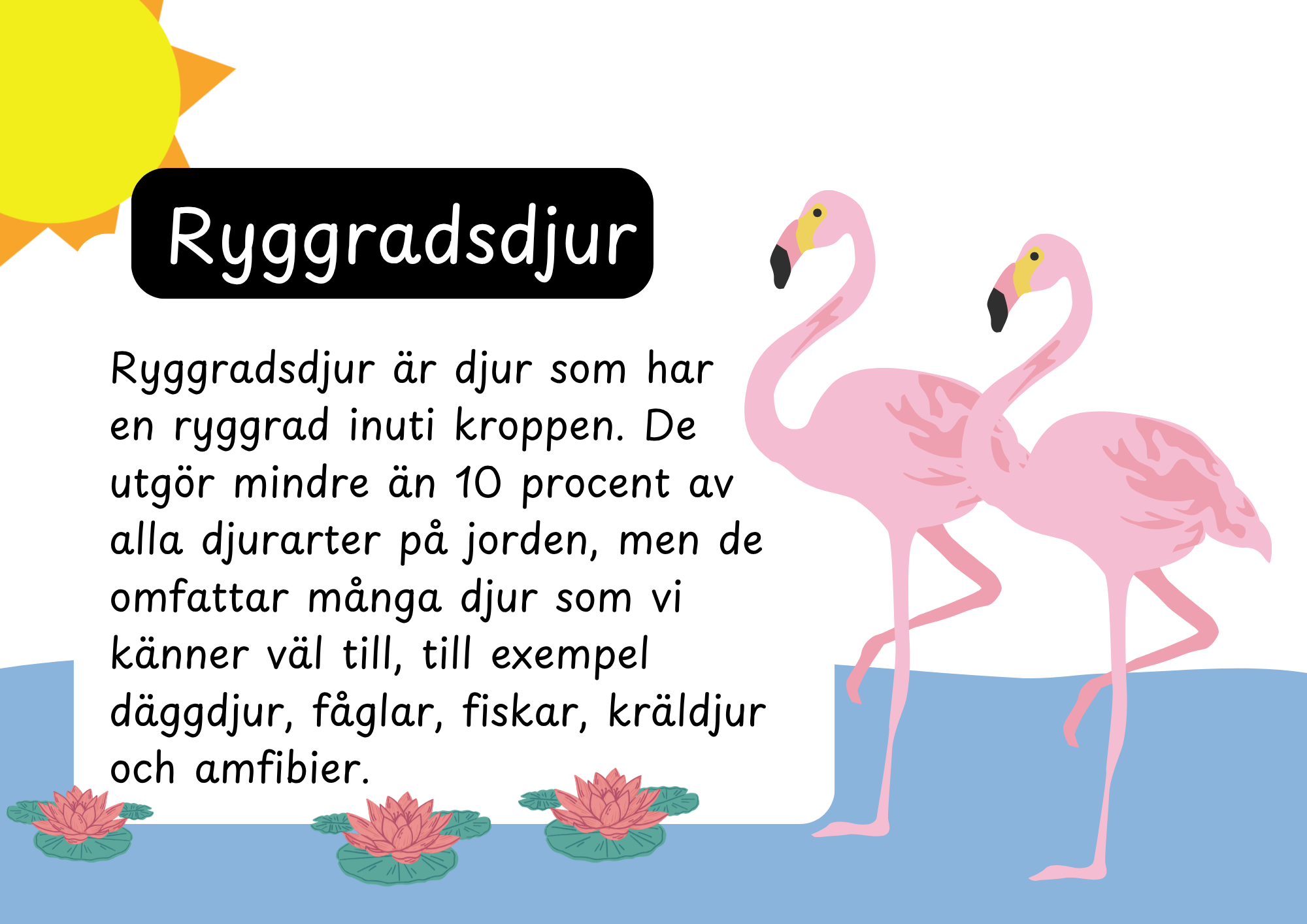 Den levande världen - Ryggradsdjur och ryggradslösa
