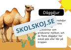 Den levande världen - Ryggradsdjur och ryggradslösa
