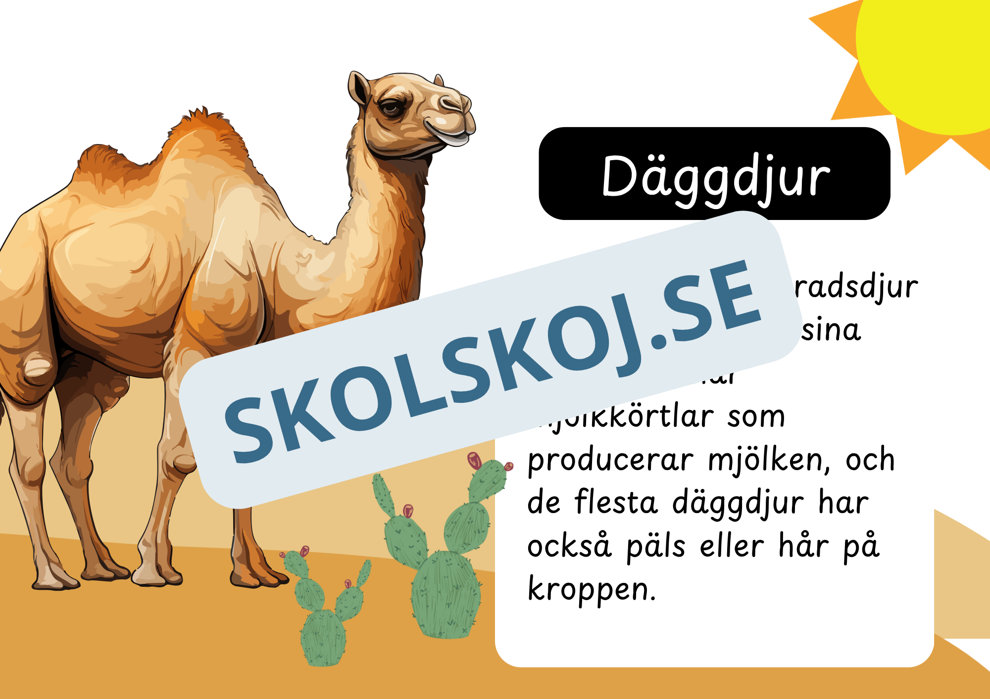 Den levande världen - Ryggradsdjur och ryggradslösa