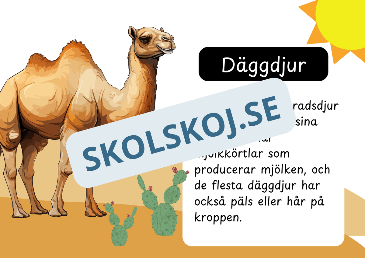 Den levande världen - Ryggradsdjur och ryggradslösa