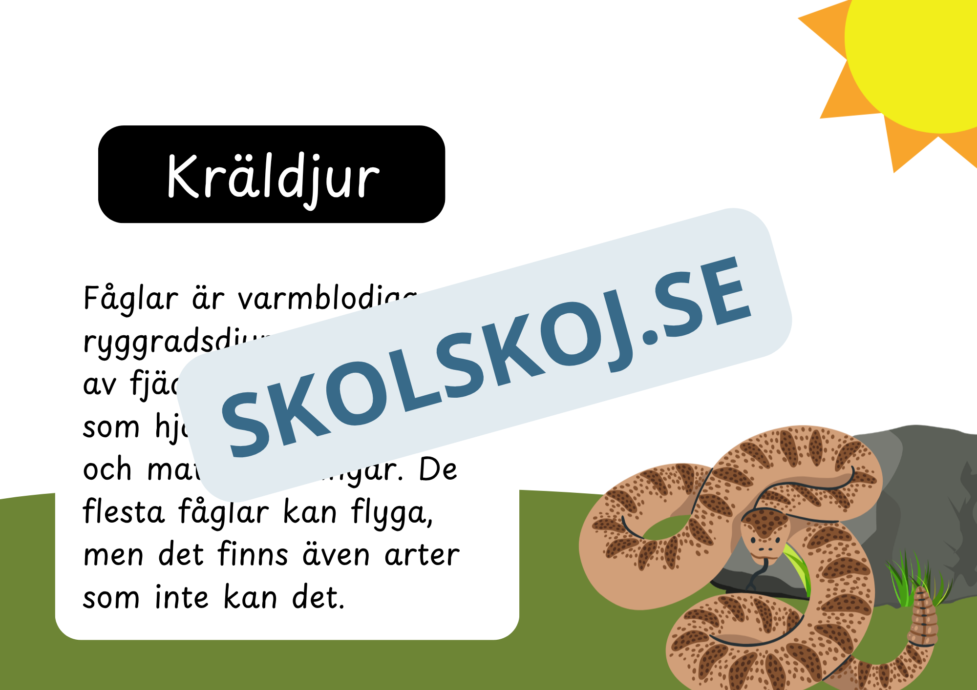 Den levande världen - Ryggradsdjur och ryggradslösa