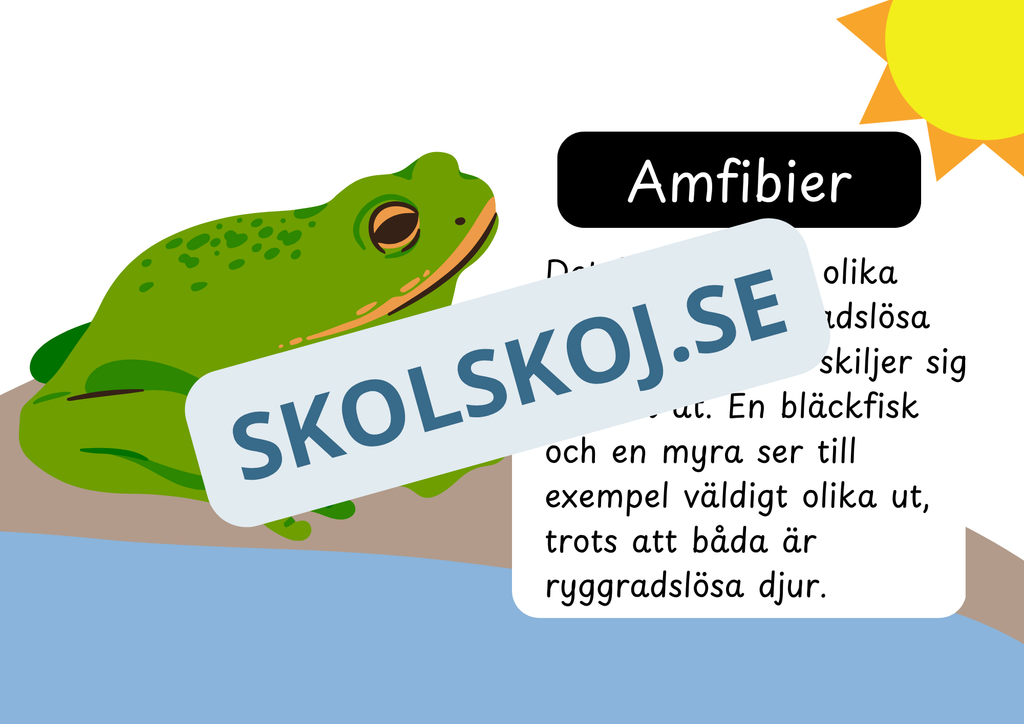 Den levande världen - Ryggradsdjur och ryggradslösa