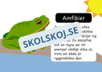 Den levande världen - Ryggradsdjur och ryggradslösa