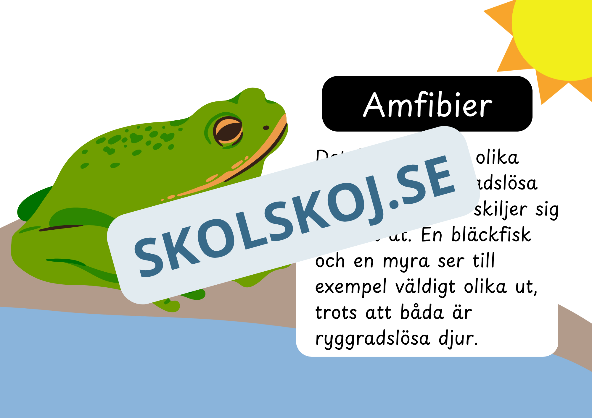Den levande världen - Ryggradsdjur och ryggradslösa