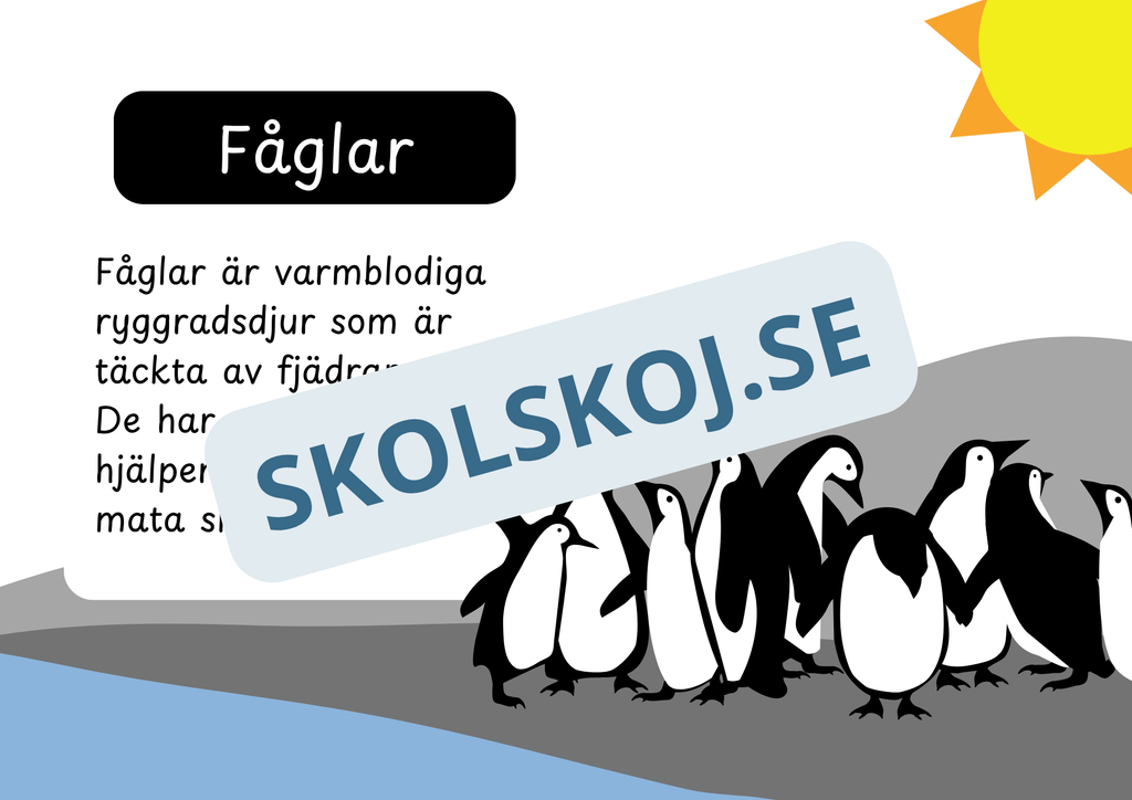 Den levande världen - Ryggradsdjur och ryggradslösa