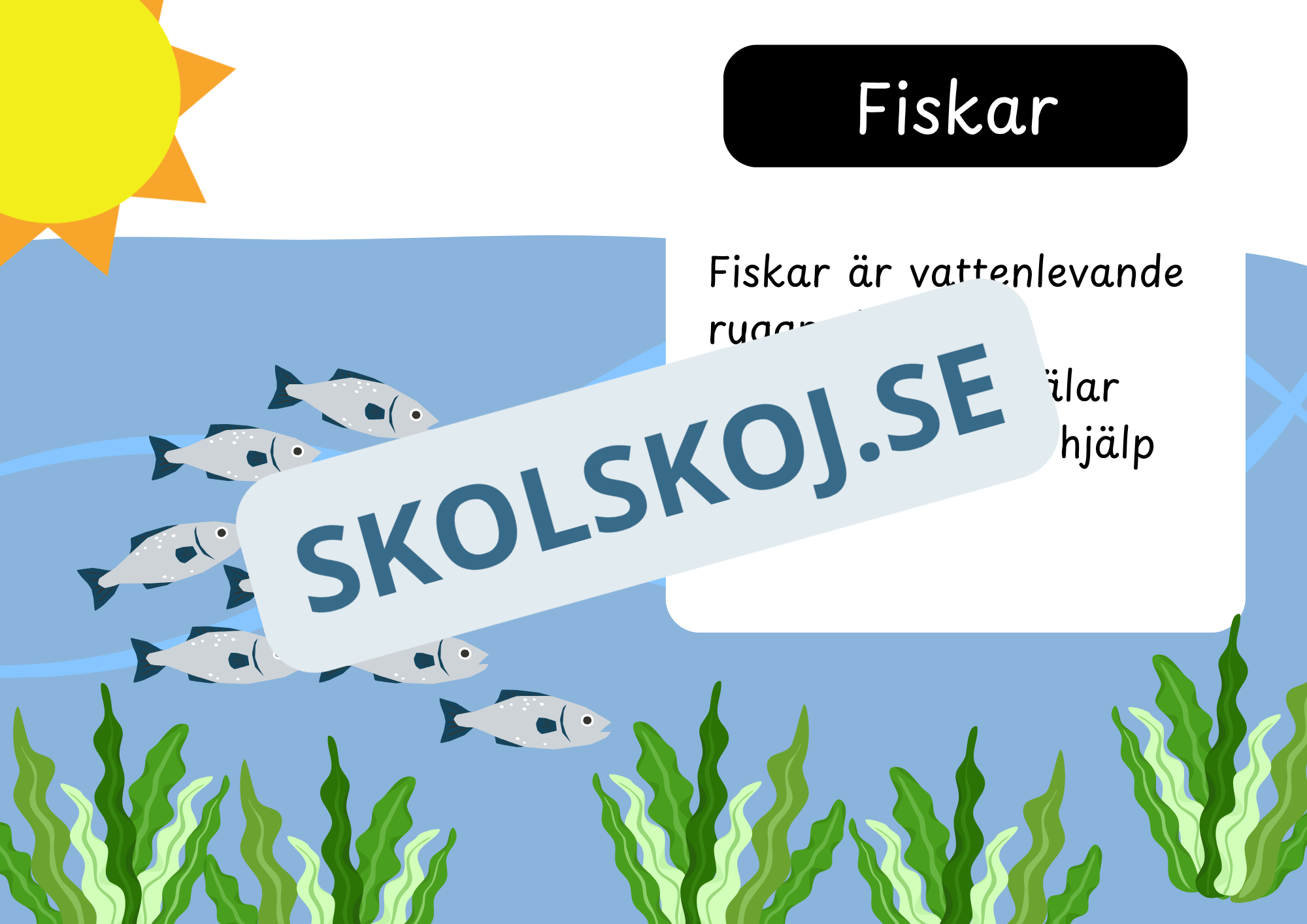 Den levande världen - Ryggradsdjur och ryggradslösa