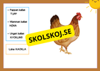 Djurfamiljer