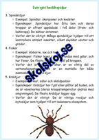 Djur i Sverige årskurs 4 - 6