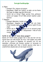 Djur i Sverige årskurs 4 - 6