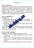 Djur i Sverige årskurs 4 - 6