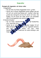 Djur i Sverige årskurs 4 - 6
