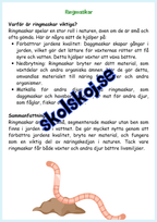 Djur i Sverige årskurs 4 - 6