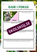Djur i fokus - Häfte