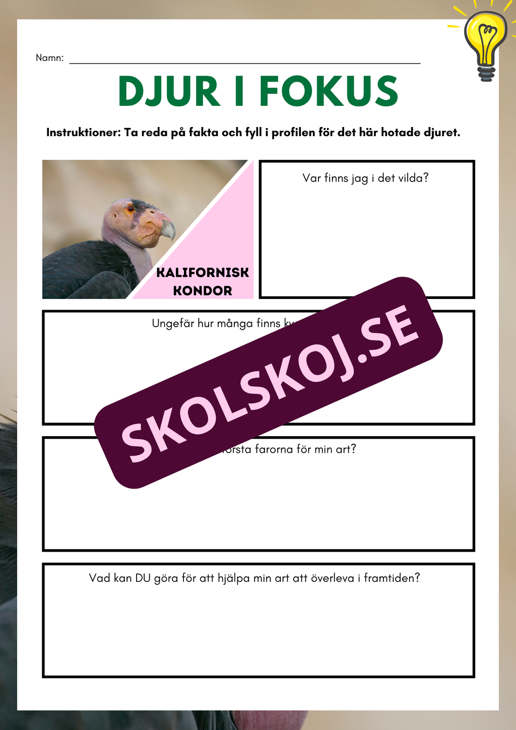 Djur i fokus - Häfte