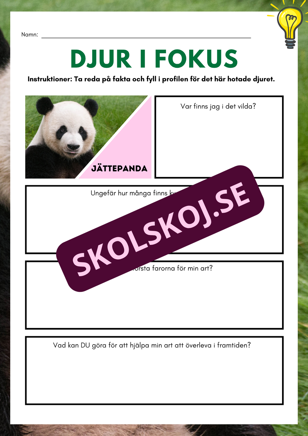 Djur i fokus - Häfte