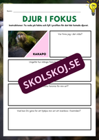 Djur i fokus - Häfte