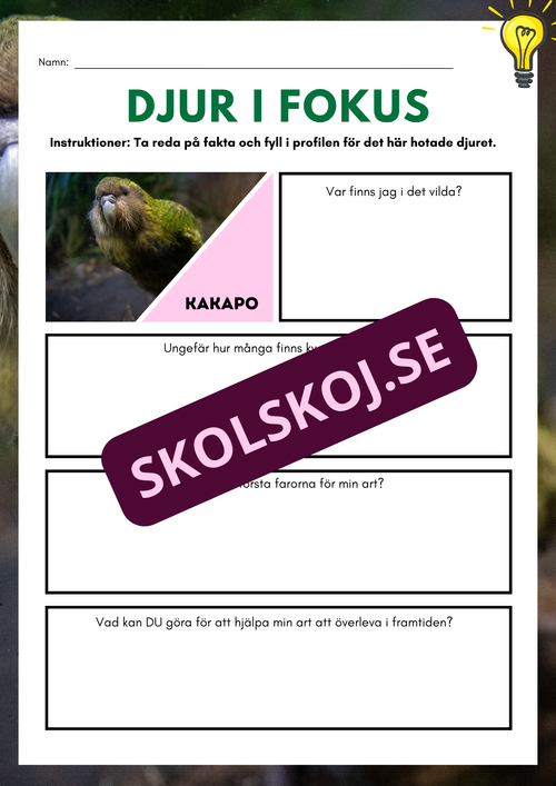 Djur i fokus - Häfte