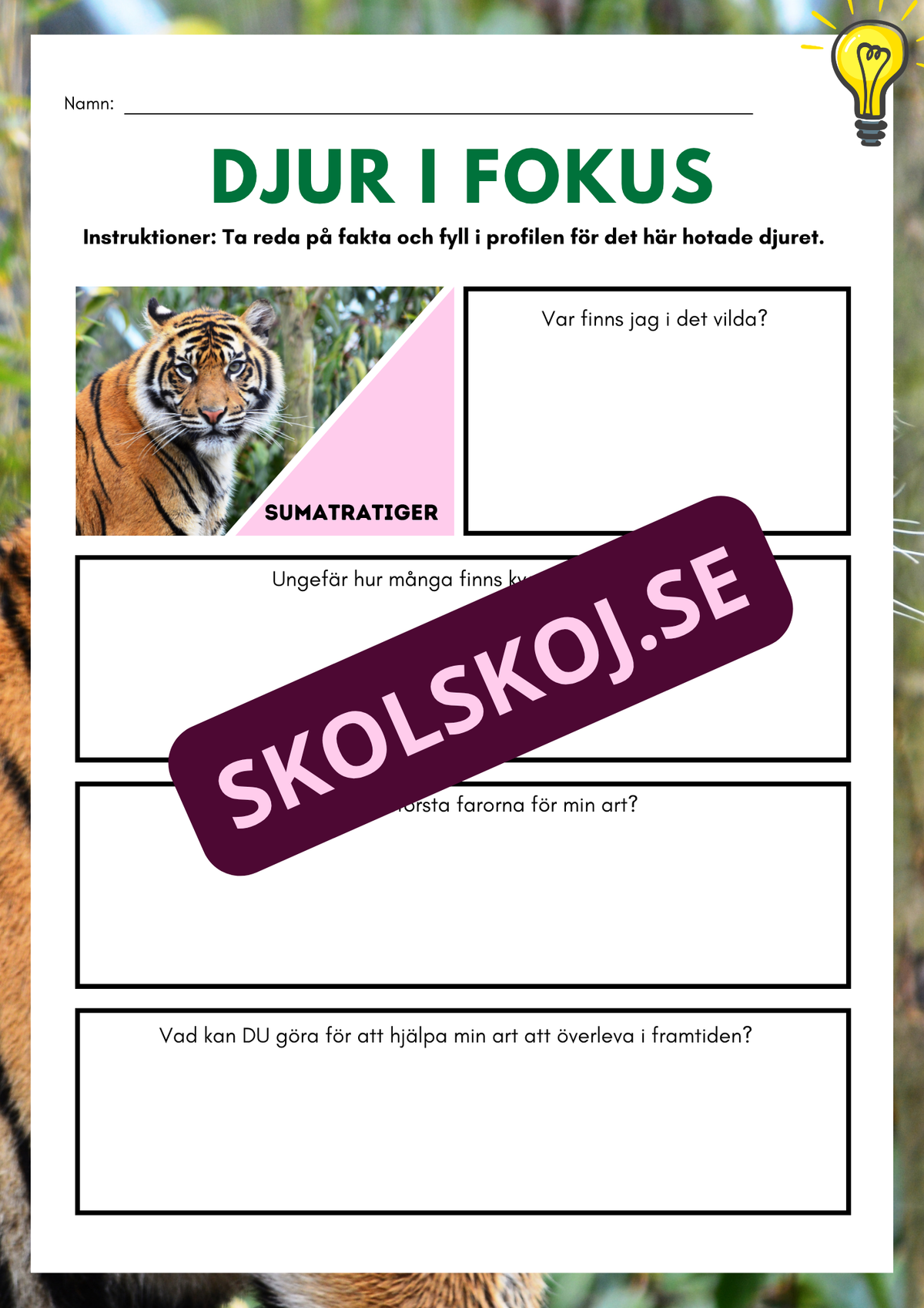 Djur i fokus - Häfte