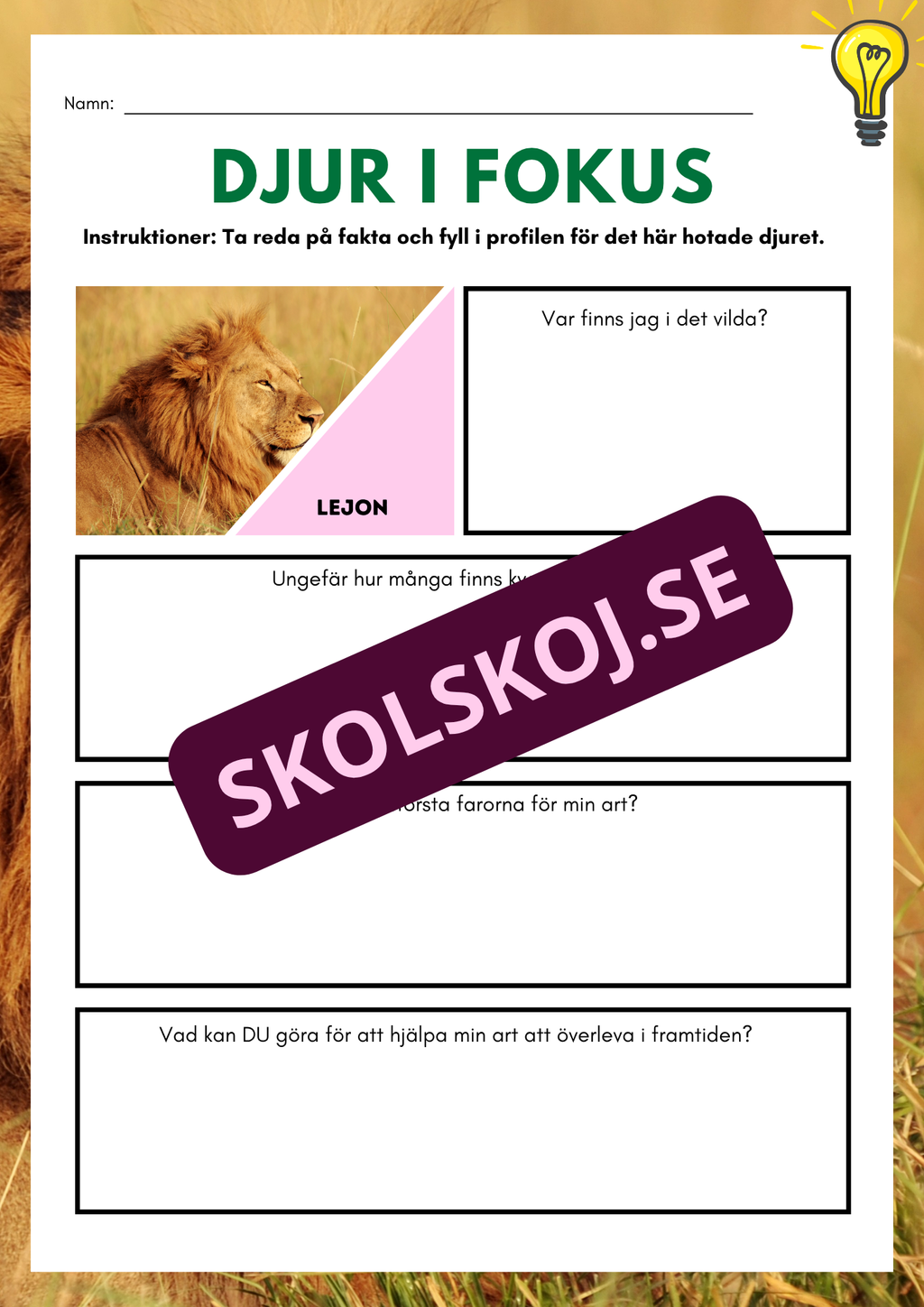 Djur i fokus - Häfte