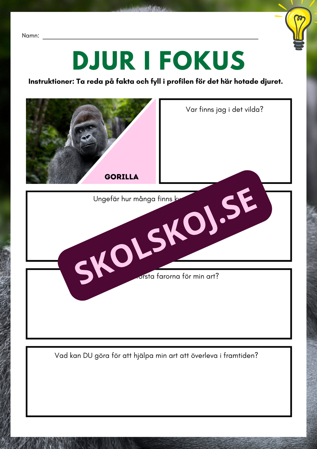 Djur i fokus - Häfte