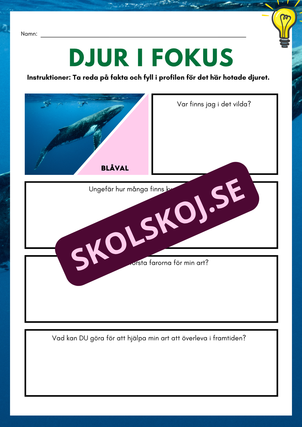 Djur i fokus - Häfte