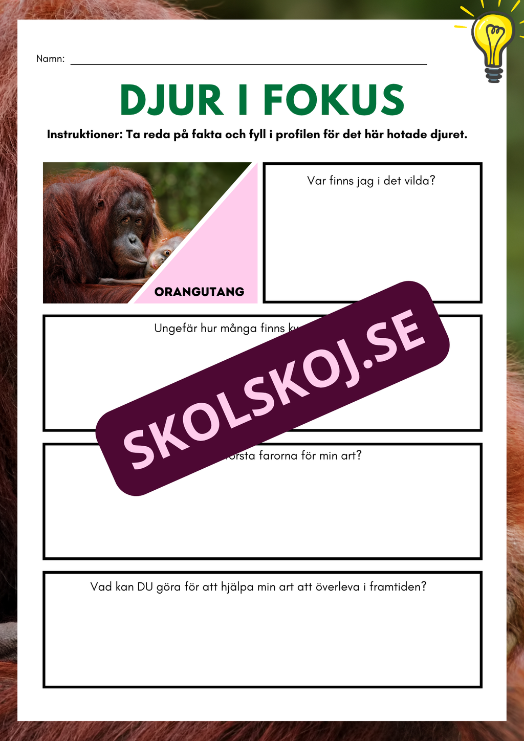 Djur i fokus - Häfte