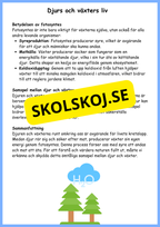 Djurs och växters liv - Årskurs 4 - 6