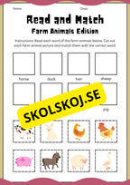 Early finishers - English workbook