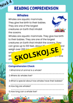 English Reading Comprehension Big Bundle