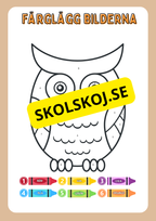 Enkel matematik - Blandade uppgifter - Häfte