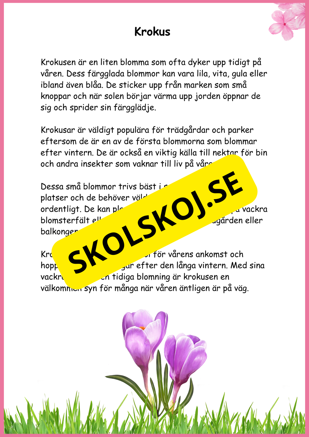 Fakta Vårblommor