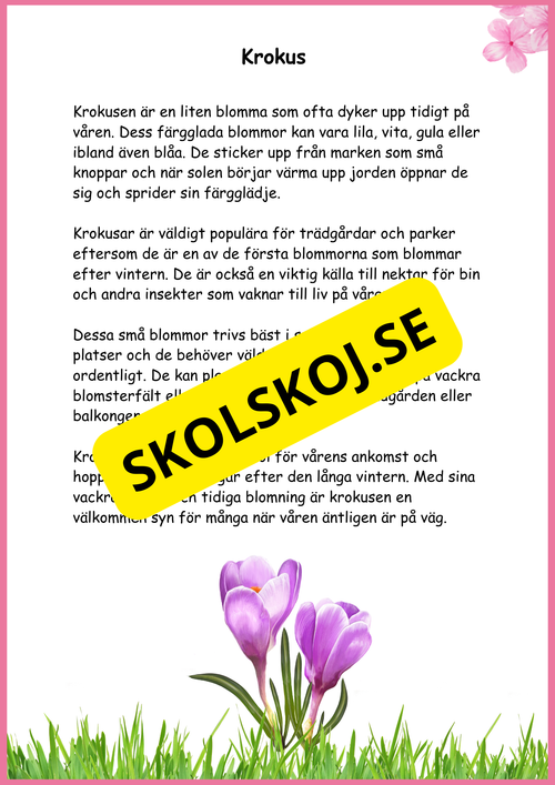 Fakta Vårblommor