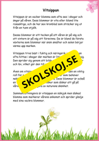 Fakta Vårblommor