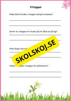 Fakta Vårblommor