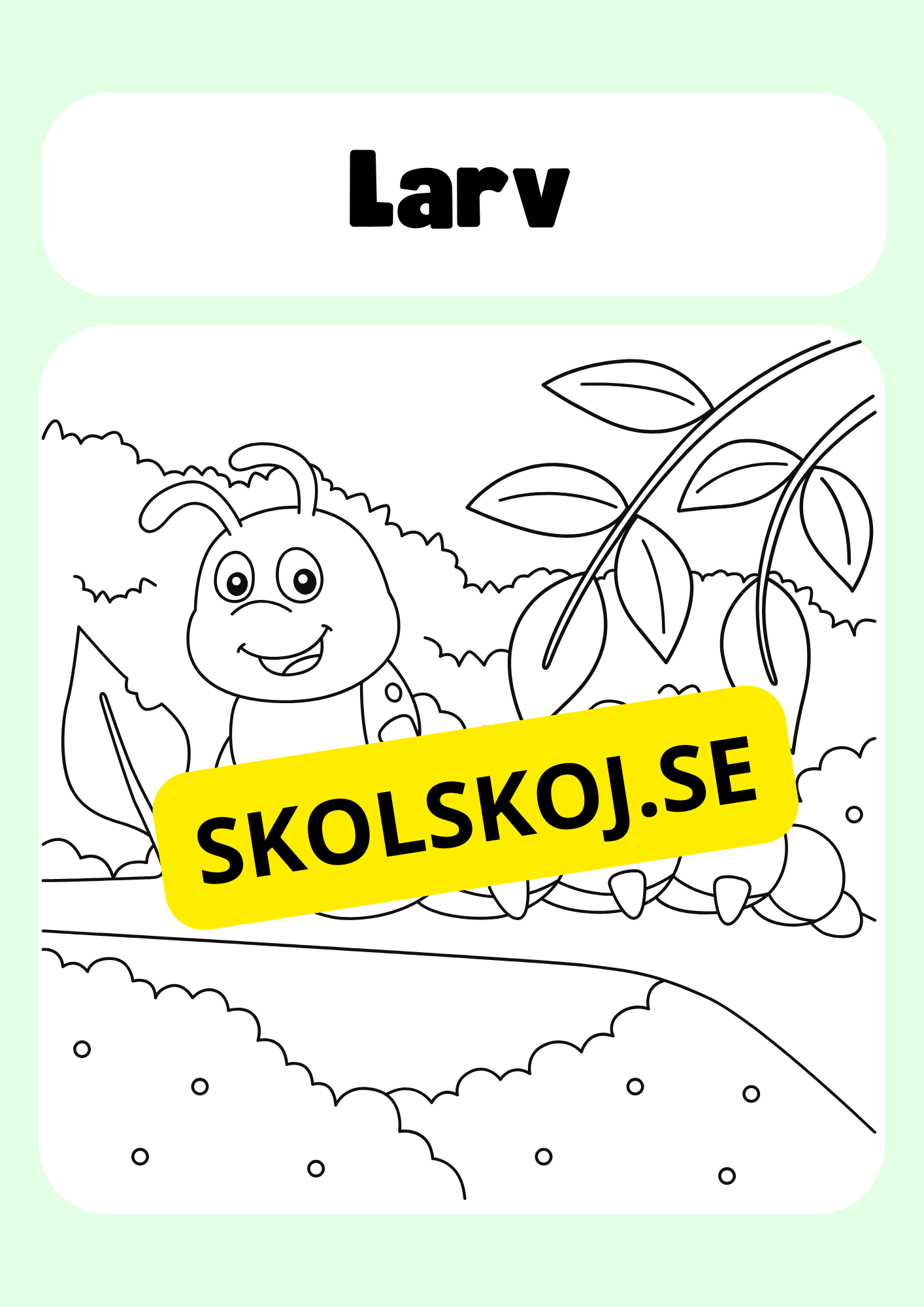 Färglägg insekter