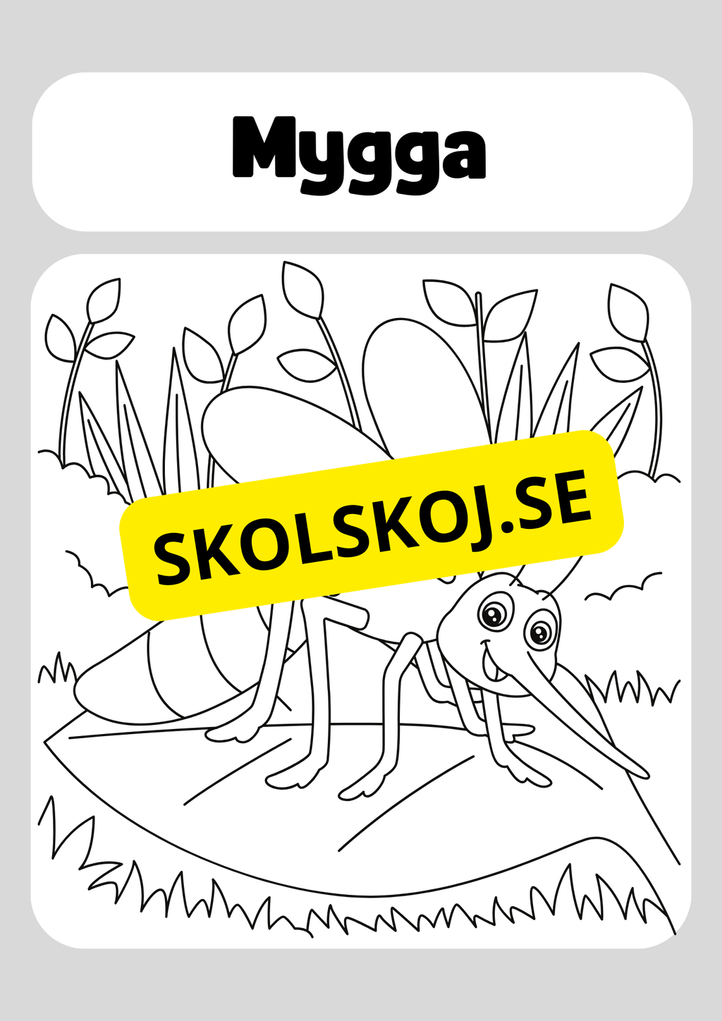 Färglägg insekter