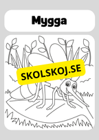 Färglägg insekter