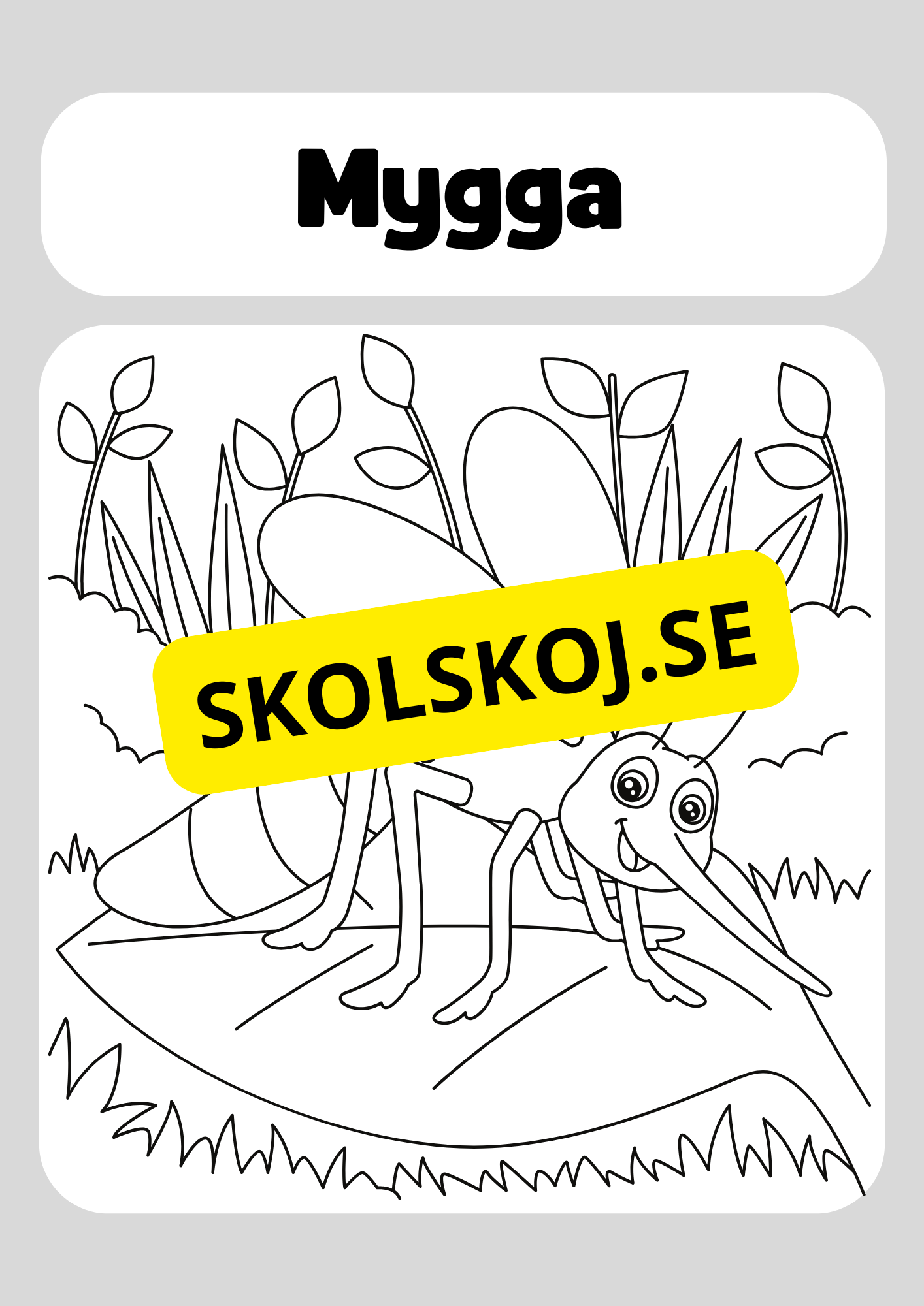 Färglägg insekter
