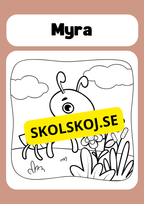 Färglägg insekter